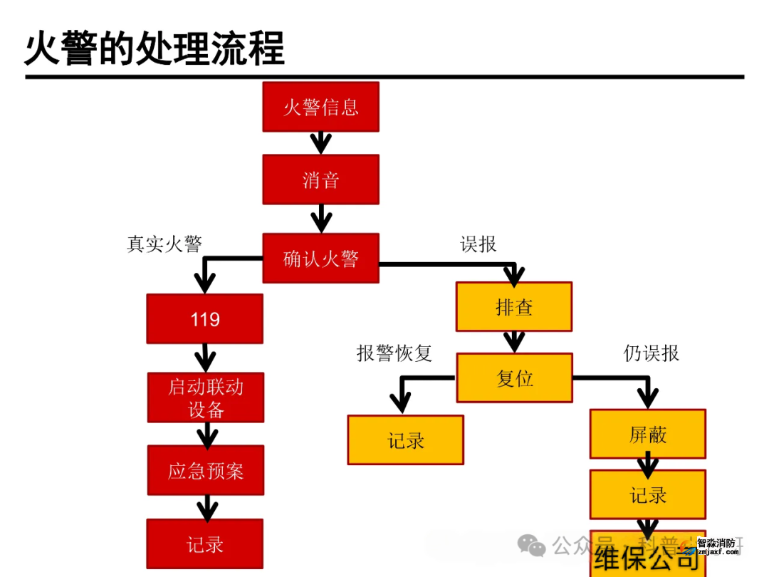 1770712743524604.png 1770712743524604.png